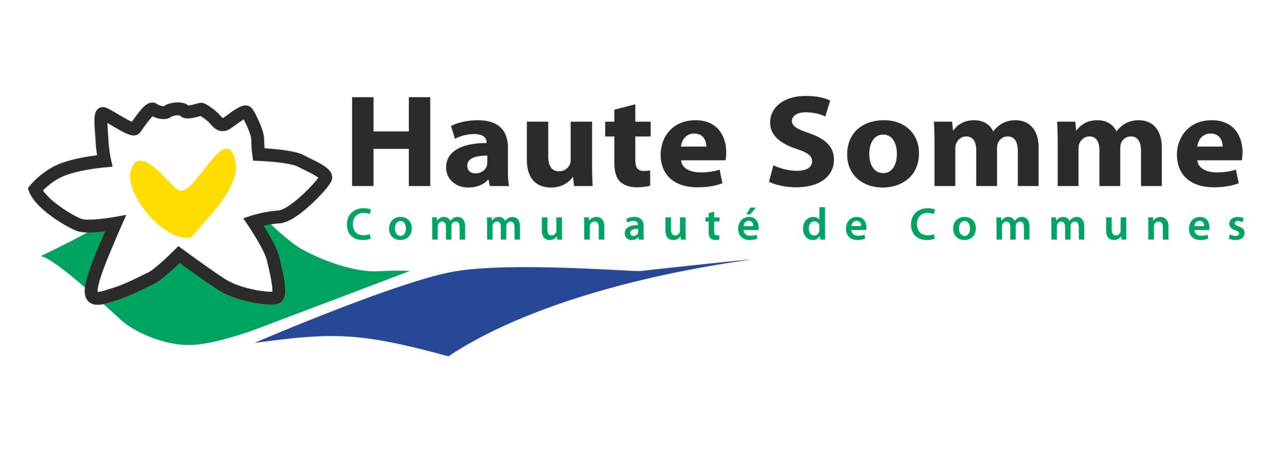 Logo CCHS haute déf (2)